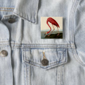 Audubon American Flamingo Button (Beispiel)