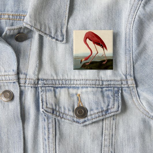Audubon American Flamingo Button (Beispiel)