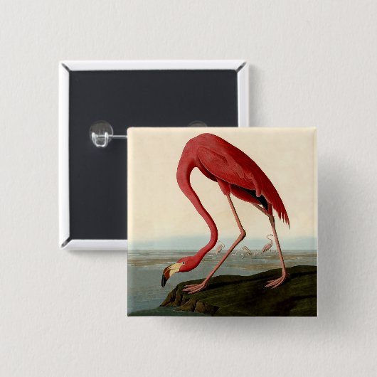 Audubon American Flamingo Button (Vorne & Hinten)