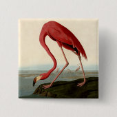Audubon American Flamingo Button (Vorderseite)