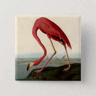 Audubon American Flamingo Button
