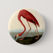 Audubon American Flamingo Button (Vorderseite)