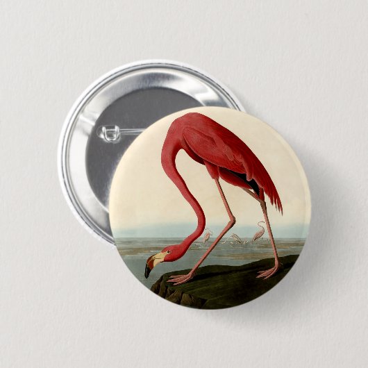 Audubon American Flamingo Button (Vorne & Hinten)