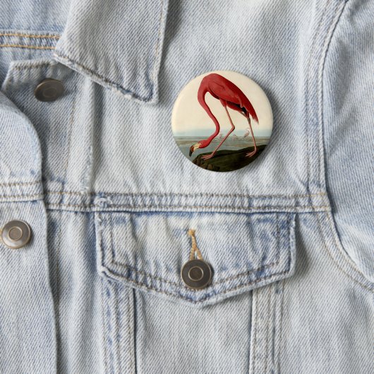 Audubon American Flamingo Button (Beispiel)
