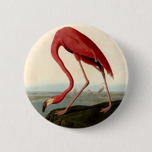 Audubon American Flamingo Button