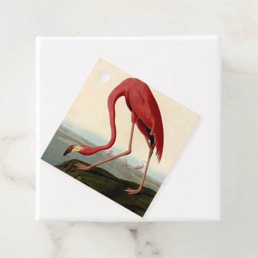 Audubon American Flamingo Geschenkanhänger (Beispiel)