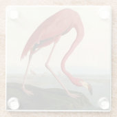 Audubon American Flamingo Glasuntersetzer (Rückseite)