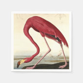 Audubon American Flamingo John James Audubon Serviette (Vorderseite)
