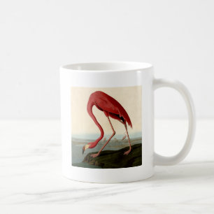 Audubon American Flamingo Kaffeetasse