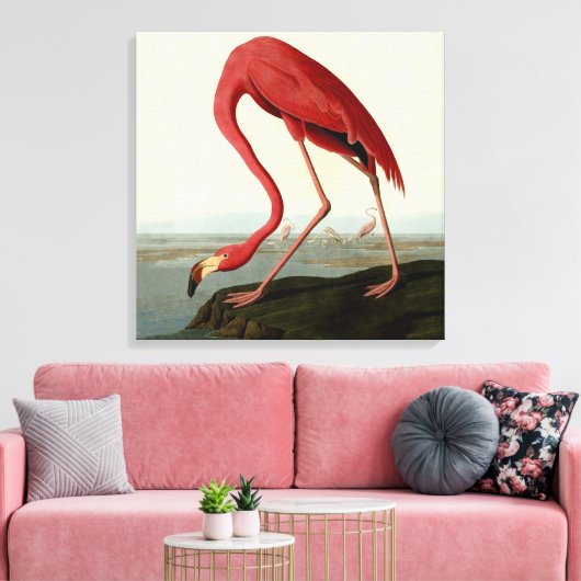 Audubon American Flamingo Leinwanddruck (Insitu (Wohnzimmer))