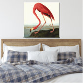 Audubon American Flamingo Leinwanddruck (Insitu (Schlafzimmer))