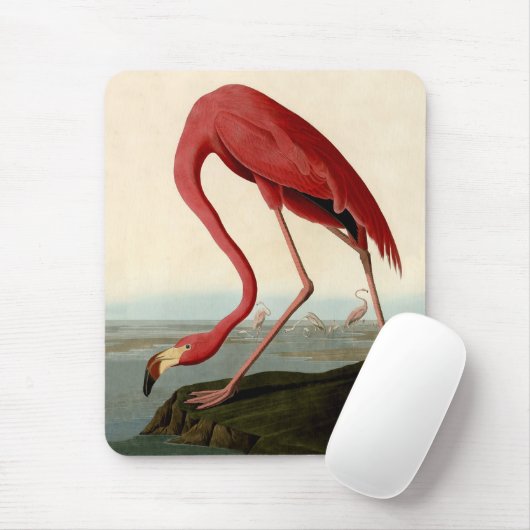 Audubon American Flamingo Mousepad (Mit Mouse)