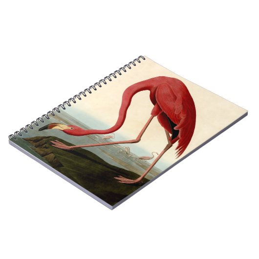 Audubon American Flamingo Notizblock (Linke Seite)