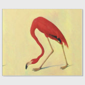 Audubon American Flamingo Painting Geschenkpapier (Flach)