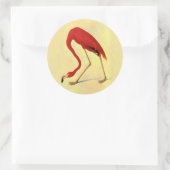 Audubon American Flamingo Painting Runder Aufkleber (Tasche)
