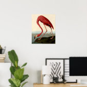 Audubon American Flamingo Poster (Heimbüro)