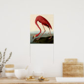 Audubon American Flamingo Poster (Küche)