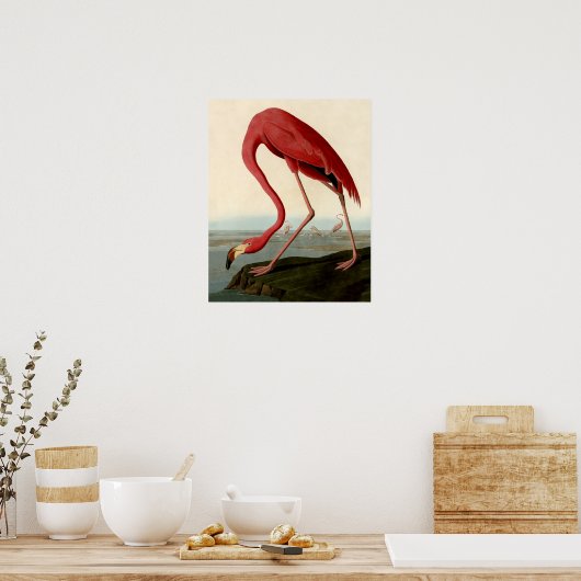 Audubon American Flamingo Poster (Küche)