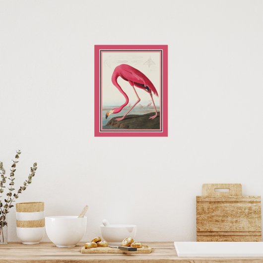 Audubon American Flamingo Poster (Küche)