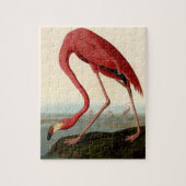 Audubon American Flamingo Puzzle (Vertikal)