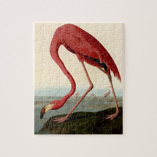 Audubon American Flamingo Puzzle (Vertikal)