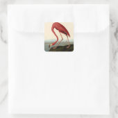 Audubon American Flamingo Quadratischer Aufkleber (Tasche)