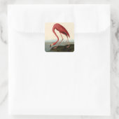 Audubon American Flamingo Quadratischer Aufkleber (Tasche)