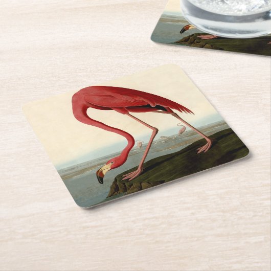 Audubon American Flamingo Rechteckiger Pappuntersetzer (angewinkelt)