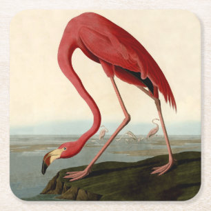 Audubon American Flamingo Rechteckiger Pappuntersetzer