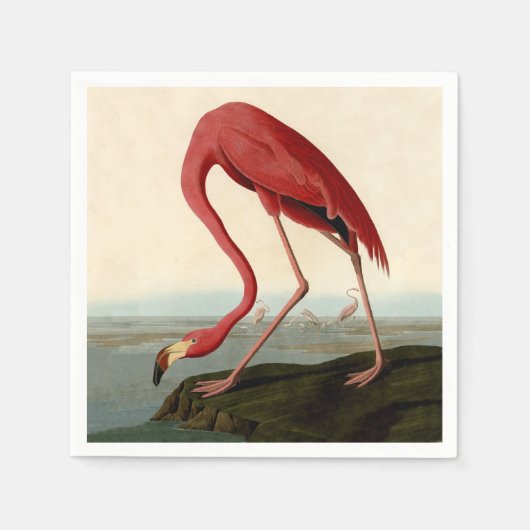 Audubon American Flamingo Serviette (Vorderseite)