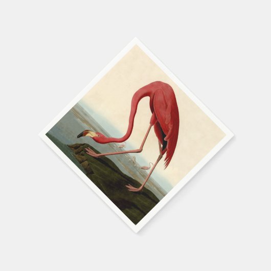 Audubon American Flamingo Serviette (Ecke)