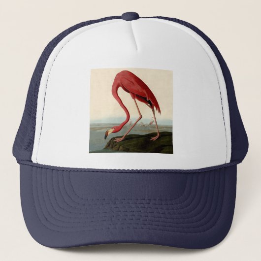 Audubon American Flamingo Truckerkappe (Vorderseite)