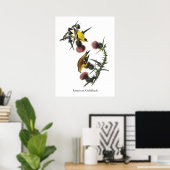 Audubon American Goldfinch Poster (Heimbüro)