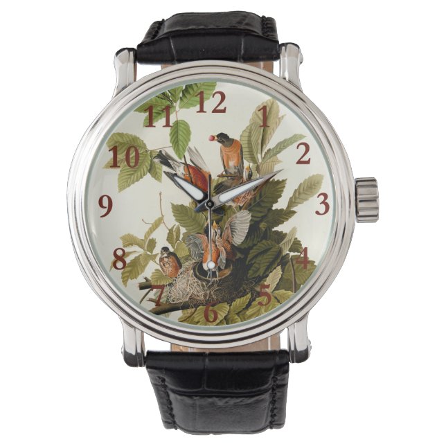 Audubon American Robin Wildlife Bird Illustration Armbanduhr (Vorderseite)