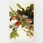 Audubon American Robin Wildlife Bird Illustration Banner (Vertikal)
