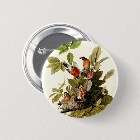 Audubon American Robin Wildlife Bird Illustration Button (Vorne & Hinten)
