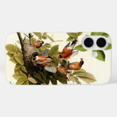 Audubon American Robin Wildlife Bird Illustration Case-Mate iPhone Hülle (Rückseite (Horizontal))