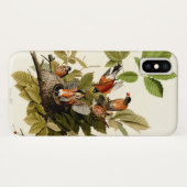 Audubon American Robin Wildlife Bird Illustration Case-Mate iPhone Hülle (Rückseite (Horizontal))