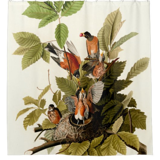 Audubon American Robin Wildlife Bird Illustration Duschvorhang (Vorderseite)