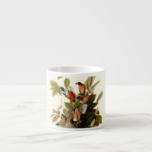 Audubon American Robin Wildlife Bird Illustration Espressotasse (Vorderseite)
