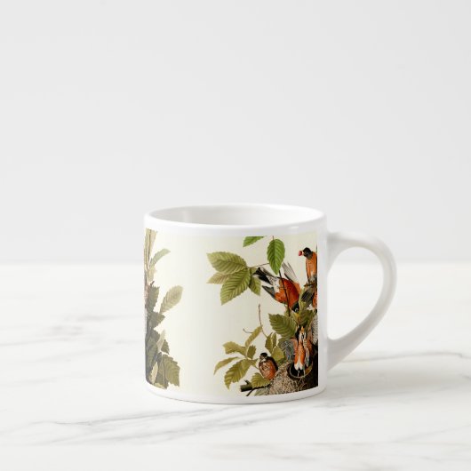 Audubon American Robin Wildlife Bird Illustration Espressotasse (Rechts)