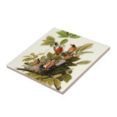 Audubon American Robin Wildlife Bird Illustration Fliese (Seite)