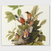 Audubon American Robin Wildlife Bird Illustration Geschenkpapier (Flach)