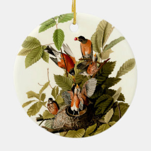Audubon American Robin Wildlife Bird Illustration Keramik Ornament