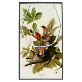 Audubon American Robin Wildlife Bird Illustration Kleine Geschenktüte (Rückseite)