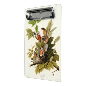 Audubon American Robin Wildlife Bird Illustration Mini Klemmbrett (Gewinkelt2)