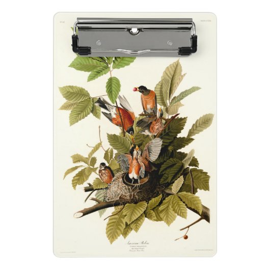 Audubon American Robin Wildlife Bird Illustration Mini Klemmbrett (Vorderseite)
