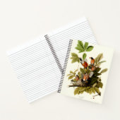 Audubon American Robin Wildlife Bird Illustration Notizblock (Innenseite)