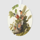 Audubon American Robin Wildlife Bird Illustration Ornament (Vorderseite)