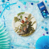 Audubon American Robin Wildlife Bird Illustration Pappteller (Party)